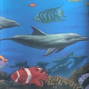 Ocean theme Wallpaper border Ocean theme NWOT